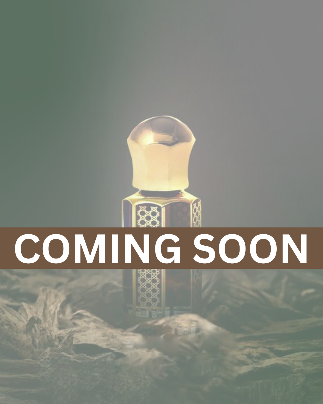 lookbook image shop_this_look_AVdw3f